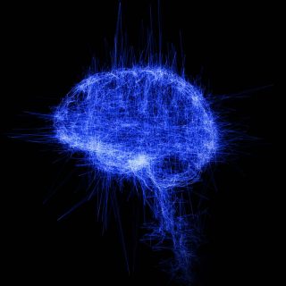 Brain, study, installation vidéo, Pascal Haudressy