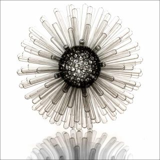 Sandrine Isambert, Spark, 2017