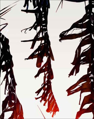 Sunclipse #3, photo, Matthew Porter