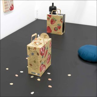 Vue d'exposition, Scoli Acosta