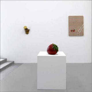 Vue d'exposition, Scoli Acosta