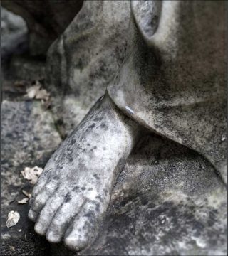 Les Pieds de la République, photo, Thu Van Tran