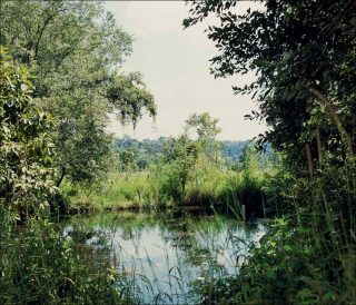 Série Bomb Ponds, photo, Vandy Rattana