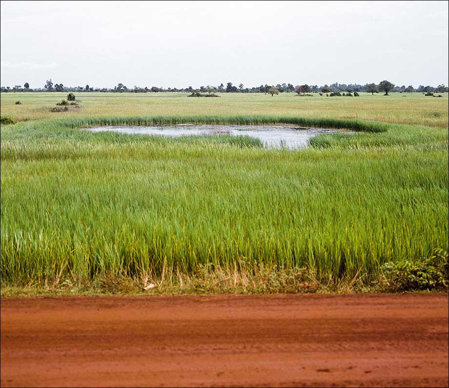 Série Bomb Ponds, photo, Vandy Rattana