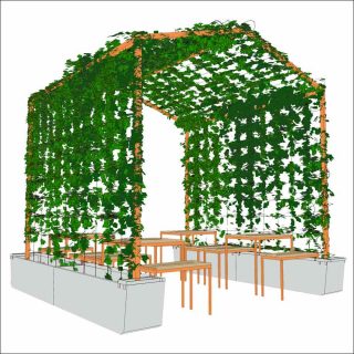 Julia Lasry et Mathilde Nguyen, Maison Maison, 2018