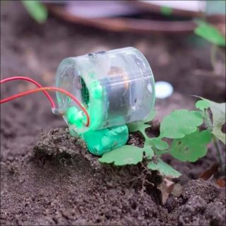 World Brain, vidéo, Gwenola Wagon et Stéphane Degoutin