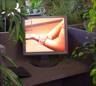 Neoteny Trash Office, installation, Gwenola Wagon et Stéphane Degoutin