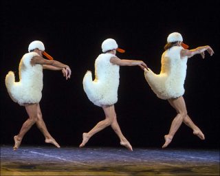 Les Chicos Mambo (chorégraphe Philippe Lafeuille), Tutu, 2014