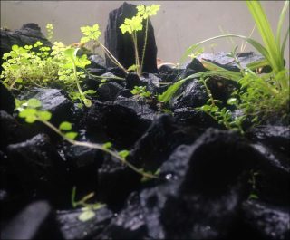 Feu, installation, Michel Blazy