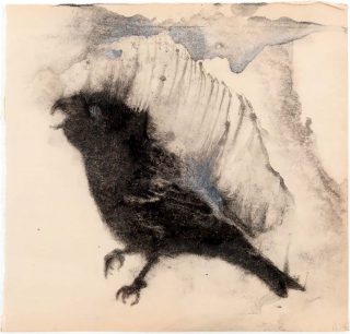 Jean Luc Verna, dessins, oiseaux