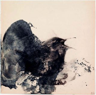 Jean Luc Verna, oiseaux, dessins