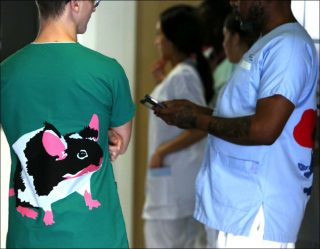 Diane Guyot de Saint-Michel