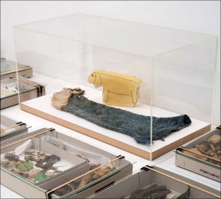 Lois Weinberger, Debris Field,