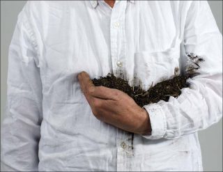 Lois Weinberger, Holding the Earth,