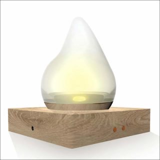 Victoria Aparicio, Claudia Vichier-Guerre, Laure-Hélène Maillet (École Bleue), Noa, 2018