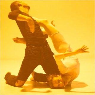 Hillel Kogan, The Swan and the Pimp, 2017