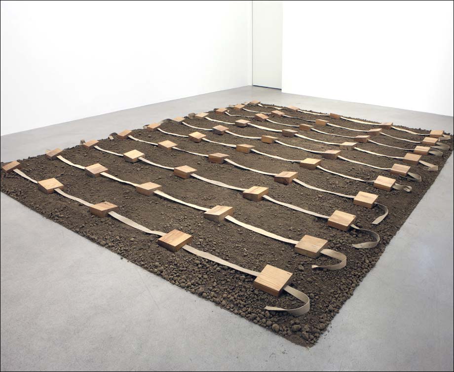 Terre protégée II, installation, Gina Pane