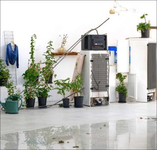 Laure Prouvost, Ring, Sing and Drink for Trespassing