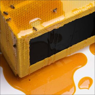 Alex Sizemore et Hank Beyer, For the Rest of Us, 2018