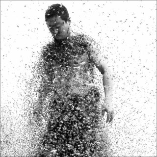 Laurie Dall'Ava et Victor Mazière