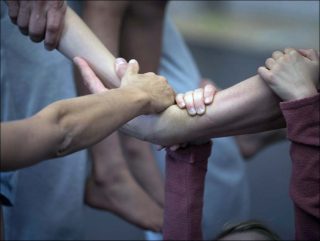 Horses, Kabinet K (Joke Laureyns & Kwint Manshoven), 2016