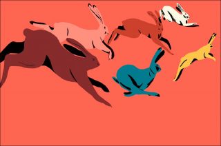 Mari Kanstad Johnsen