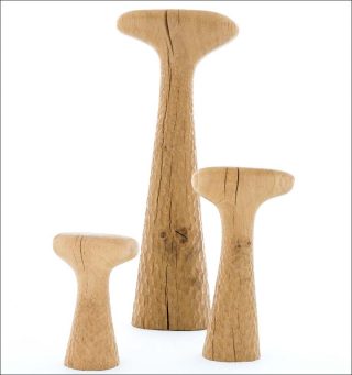 Goliath Dyèvre, Les Habitants de bois, 2018