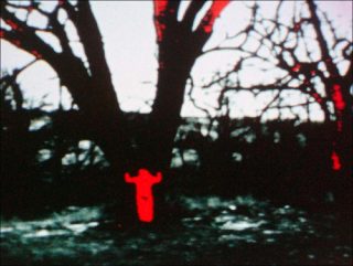 Ana Mendieta