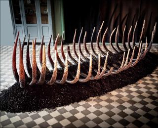 Antoine Brodin, Migration, 2018