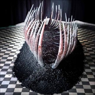 Antoine Brodin, Migration, 2018