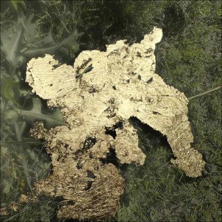 Wiktoria Wojciechowska