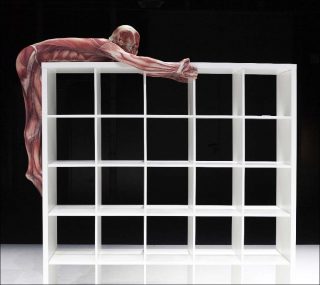 Théo Mercier et Steven Michel, Affordable Solution for Better Living, 2018