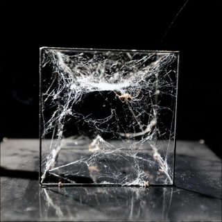Tomás Saraceno, Arachnid Orchestra - Jam Sessions, Singapour, 2015