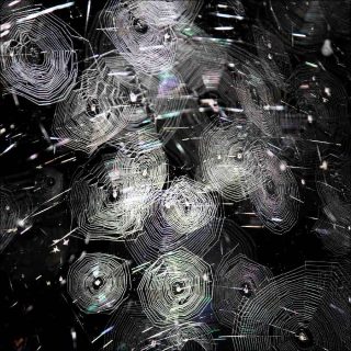 Studio Tomás Saraceno, 2017