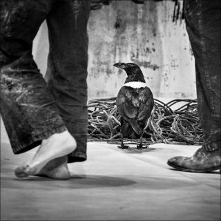 Baro d’evel (Camille Decourtye et Blaï Mateu Trias), Là , 2018