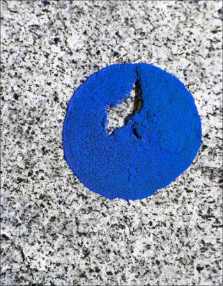Jessica Backhaus