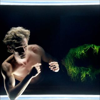 Philippe Saire, Hocus Pocus, 2017