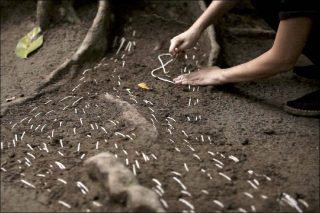 Maria Laet, Terra (Parque Lage), 2015