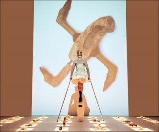 Steven Cohen, Put Your Heart Under Your Feet... And Walk! - à Elu, 2017