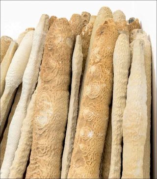 Arnaud Vasseux, Marqueurs (Pétrification), 2018.