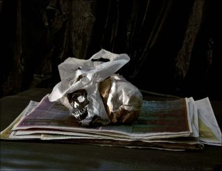 Paul Pouvreau, Passé simple, 2014.