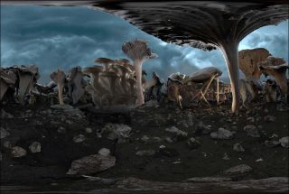 Momoko Seto, Planet ∞, 2017.