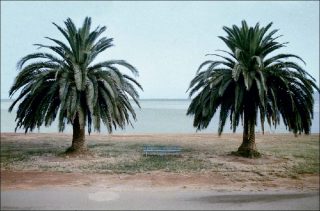 Luigi Ghirri, Orbetello, 1974.