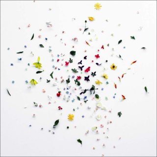 Jim Hodges, Through This, 1996.