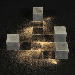 Francisco Tropa, Quad 2008.