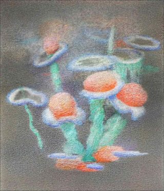 Corentin Grossmann, Aku no hana, 2018.