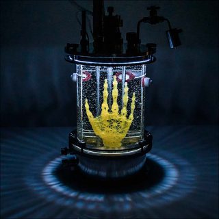 Amy Karle, Regenerative Reliquary, 2016.