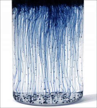 PILI (Marie-Sarah Adenis), Les usines cellulaires de la couleur, 2018.