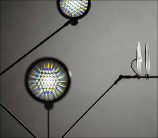 Teresa van Dongen Electric Life, 2018