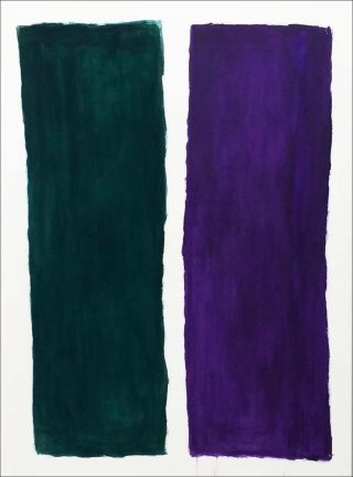 Didier Demozay Vert-Violet, 2018.